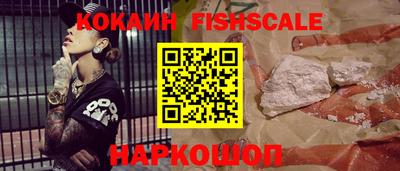 прущие грибы Заводоуковск