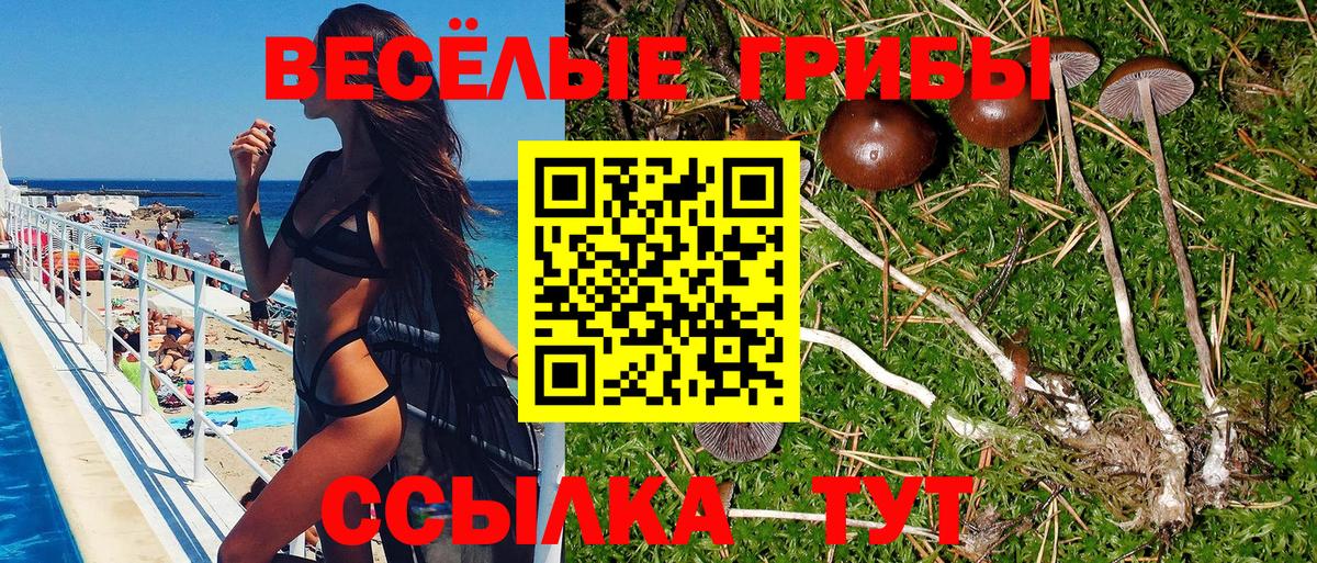 Галлюциногенные грибы прущие грибы Луховицы