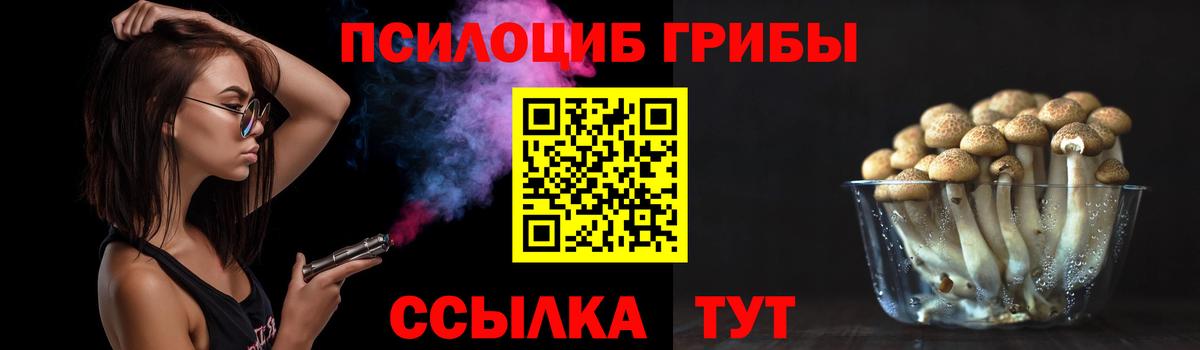 Псилоцибиновые грибы Psilocybine cubensis  Вход с VPN  Луховицы 